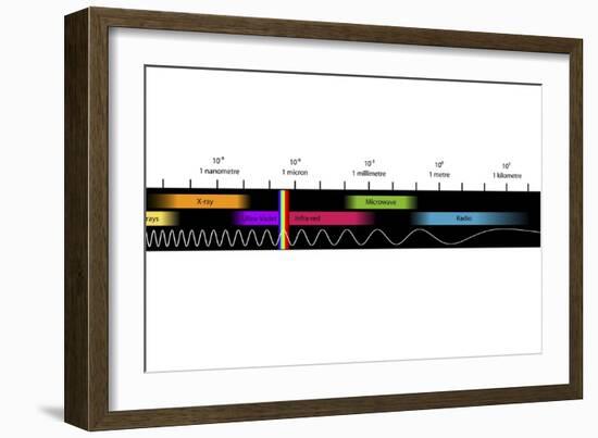 Electromagnetic Spectrum, Artwork-Equinox Graphics-Framed Photographic Print