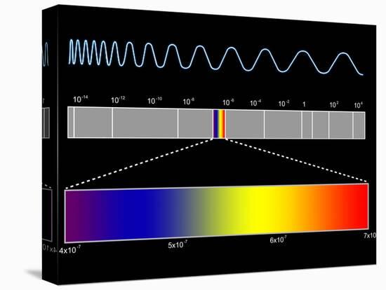 Electromagnetic Spectrum-SEYMOUR-Stretched Canvas