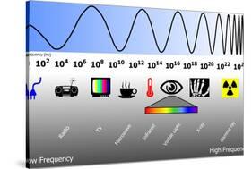 Electromagnetic Spectrum-Friedrich Saurer-Stretched Canvas