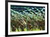 Electron Flow-Eric Heller-Framed Photographic Print