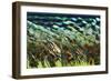 Electron Flow-Eric Heller-Framed Photographic Print