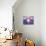 Electronic World, Artwork-Mehau Kulyk-Mounted Photographic Print displayed on a wall