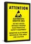 Electrostatic Sensitive Area ESD Warning Sign Poster Print-null-Framed Poster