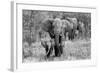 Elefamily-Bertram Schemel-Framed Photographic Print