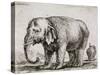 Elefant. 1641-Stefano Della Bella-Stretched Canvas