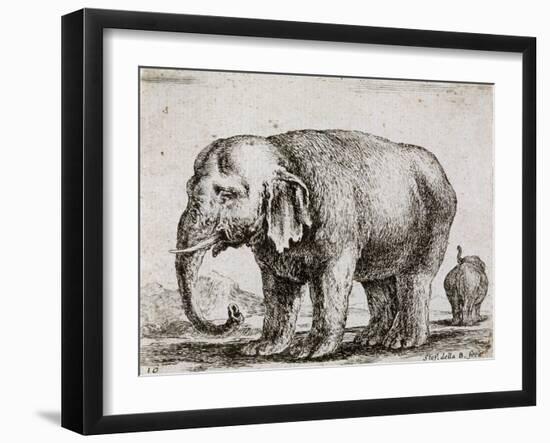 Elefant. 1641-Stefano Della Bella-Framed Giclee Print