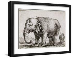 Elefant. 1641-Stefano Della Bella-Framed Giclee Print