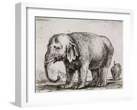 Elefant. 1641-Stefano Della Bella-Framed Giclee Print