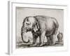 Elefant. 1641-Stefano Della Bella-Framed Giclee Print