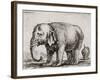 Elefant. 1641-Stefano Della Bella-Framed Giclee Print