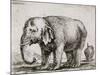 Elefant. 1641-Stefano Della Bella-Mounted Giclee Print