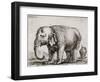 Elefant. 1641-Stefano Della Bella-Framed Giclee Print