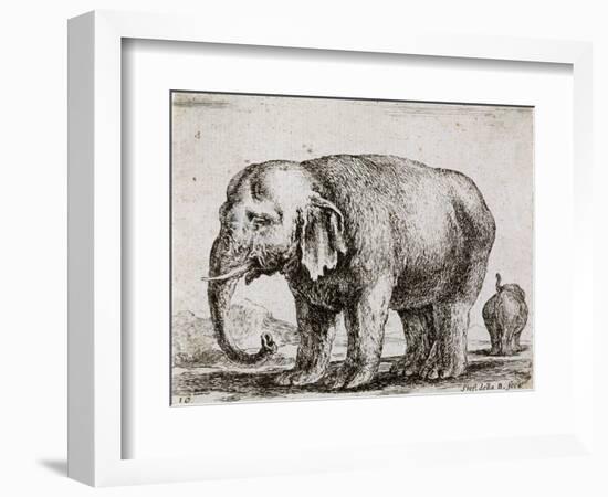 Elefant. 1641-Stefano Della Bella-Framed Giclee Print