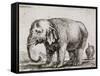 Elefant. 1641-Stefano Della Bella-Framed Stretched Canvas