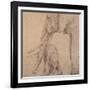 Elefantes en el Papel Tres-Carolina Luzon-Framed Giclee Print