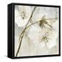 Elegance II Greige-Albena Hristova-Framed Stretched Canvas