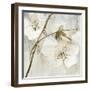 Elegance II Greige-Albena Hristova-Framed Art Print