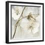 Elegance II Greige-Albena Hristova-Framed Art Print