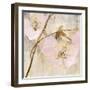 Elegance II Pink-Albena Hristova-Framed Art Print