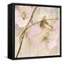 Elegance II Pink-Albena Hristova-Framed Stretched Canvas