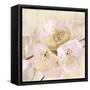 Elegance III Pink-Albena Hristova-Framed Stretched Canvas