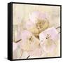 Elegance III Pink-Albena Hristova-Framed Stretched Canvas