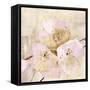 Elegance III Pink-Albena Hristova-Framed Stretched Canvas