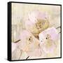 Elegance III Pink-Albena Hristova-Framed Stretched Canvas