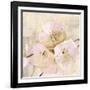 Elegance III Pink-Albena Hristova-Framed Art Print