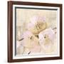 Elegance III Pink-Albena Hristova-Framed Art Print