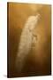 Elegance in Gold-Jai Johnson-Stretched Canvas