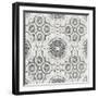 Elegance in Gray I-N. Harbick-Framed Art Print