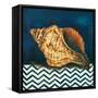 Elegance of the Sea I-Patricia Pinto-Framed Stretched Canvas