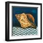 Elegance of the Sea I-Patricia Pinto-Framed Art Print