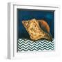 Elegance of the Sea I-Patricia Pinto-Framed Art Print