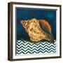 Elegance of the Sea I-Patricia Pinto-Framed Art Print