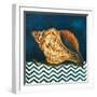 Elegance of the Sea I-Patricia Pinto-Framed Art Print