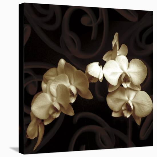 Elegance-Ily Szilagyi-Stretched Canvas