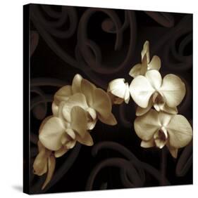 Elegance-Ily Szilagyi-Stretched Canvas