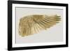 Elegance-Alan Lambert-Framed Giclee Print