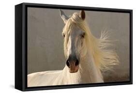 Elegance-Tony Stromberg-Framed Stretched Canvas