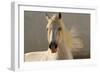 Elegance-Tony Stromberg-Framed Photographic Print