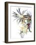 Elegant, beard-like flowers-Hiroyuki Izutsu-Framed Giclee Print