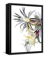 Elegant, beard-like flowers-Hiroyuki Izutsu-Framed Stretched Canvas