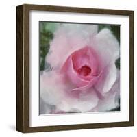 Elegant Bloom I-Malcolm Sanders-Framed Art Print