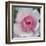 Elegant Bloom I-Malcolm Sanders-Framed Art Print