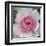 Elegant Bloom I-Malcolm Sanders-Framed Art Print