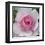 Elegant Bloom I-Malcolm Sanders-Framed Art Print