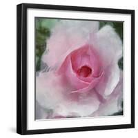 Elegant Bloom I-Malcolm Sanders-Framed Giclee Print