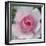 Elegant Bloom I-Malcolm Sanders-Framed Giclee Print